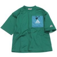 グリーン(40)