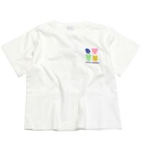 1W白